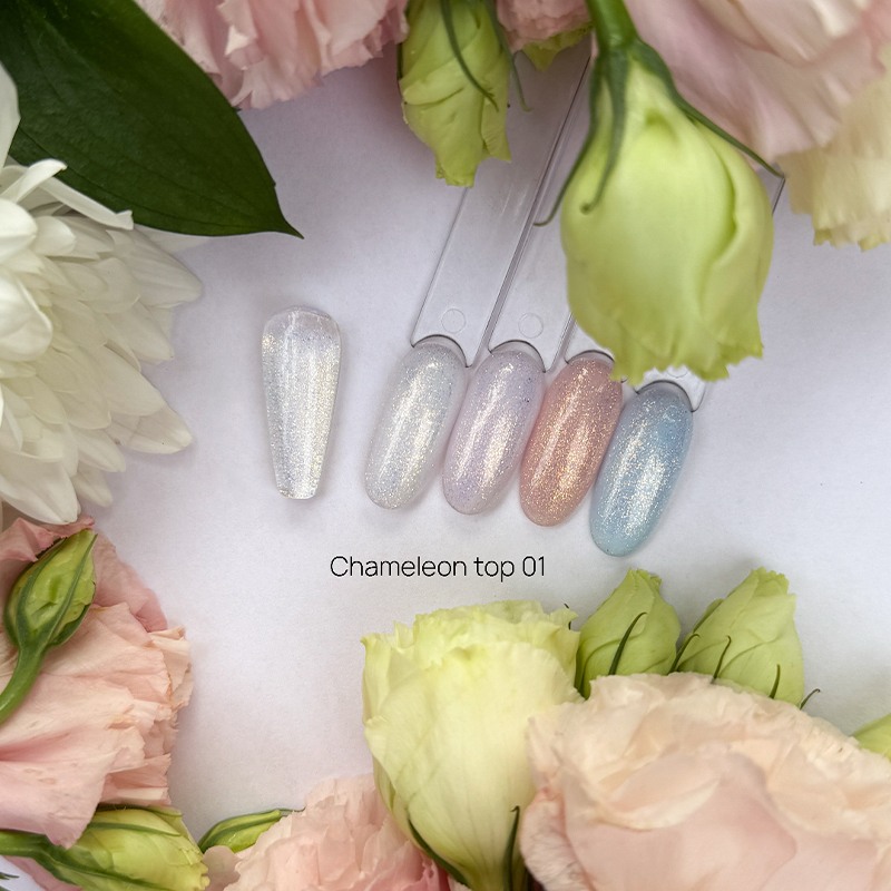 Galaxy Chameleon Top 01 Galaxy Chameleon Top 01