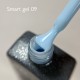 Galaxy Smart Gel 09 14ml Galaxy Smart Gel 09 14ml
