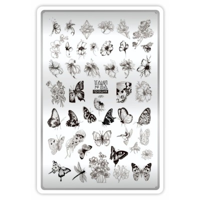 Takida Plate № 14 Takida Plate № 14