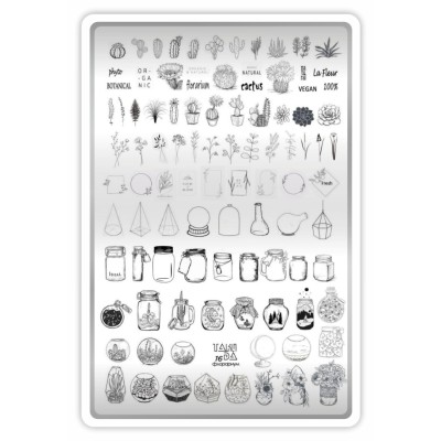 Takida Plate № 16 Takida Plate № 16