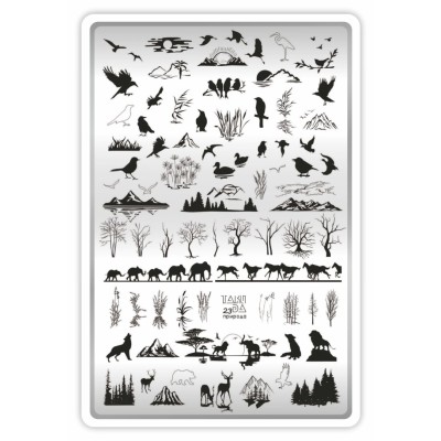Takida Plate № 23 Takida Plate № 23