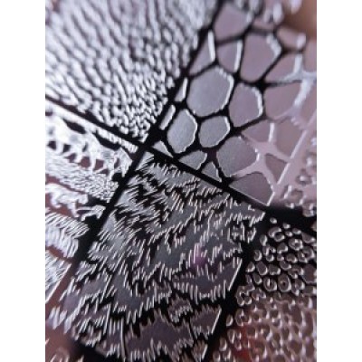 Πλακέτα Takida № 30 Safari